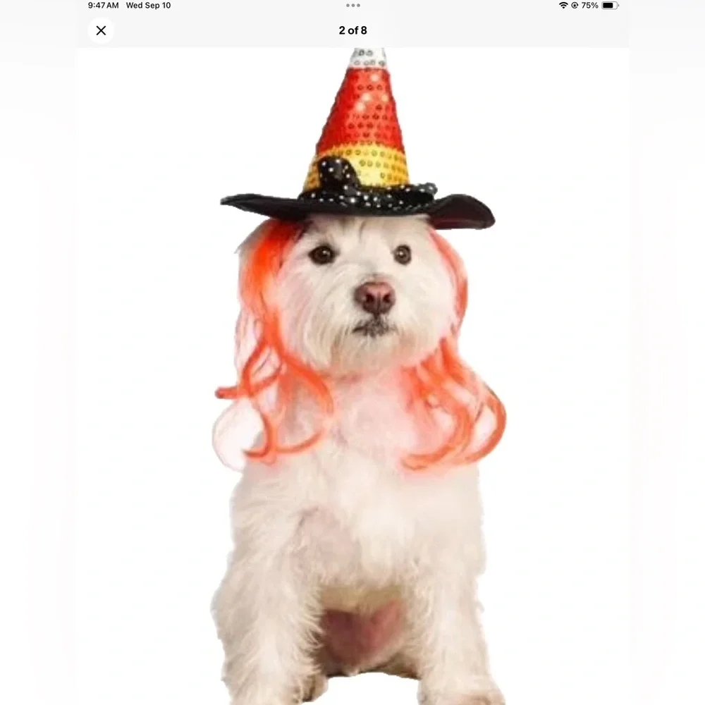 Rubie's Pet Shop Candy Corn and Witch Hat with neon color hair NEW